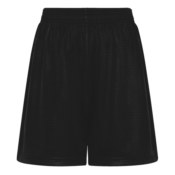 ATC™ PRO CLUB 5” MESH YOUTH SHORTS Thumbnail