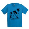 GILDAN® ULTRA COTTON® YOUTH T-SHIRT Thumbnail